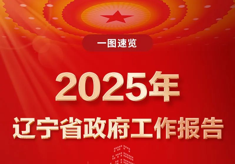 一图速览2025年日本av片政府工作报告